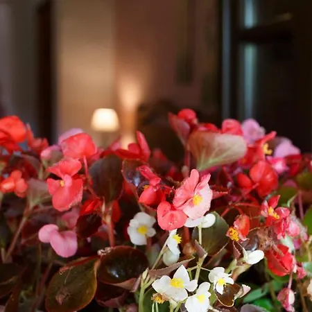 Country house Lugar Dos Devas