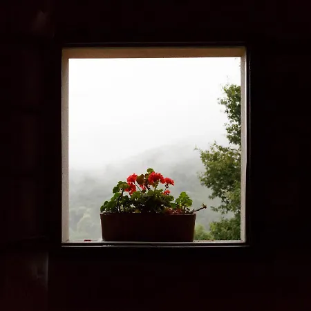 Lugar Dos Devas 컨트리하우스 *
