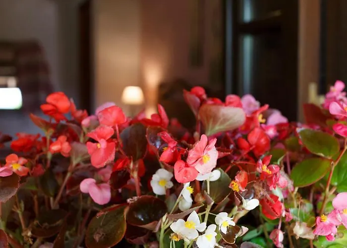 컨트리하우스 Lugar Dos Devas